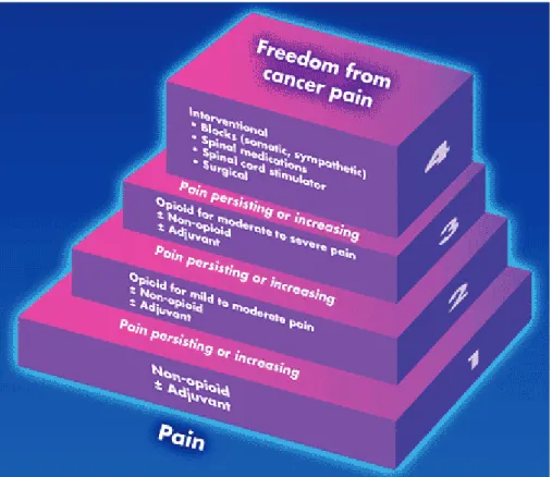 Figura  2  –  Modified  &#34;analgesic  ladder&#34;  for  cancer  pain,  including  interventional  management