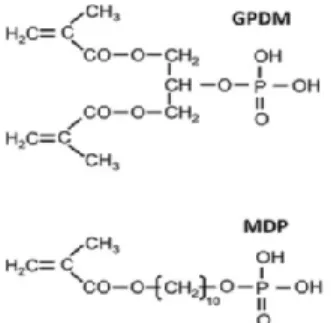 Figura 2 - Estrutura molecular dos monómeros GDPM e 10-MDP (adaptado de Yoshiahara, 2018) 
