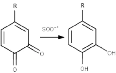Figura 2.9: Reação do ditionito de sódio com os grupos cromóforos da pasta [29].