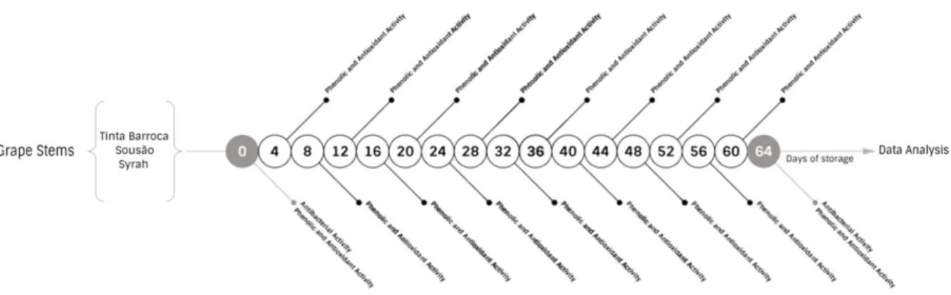 Figure III.1 -  Scheme on the sampling schedule and the analytical determinations undertaken on the samples