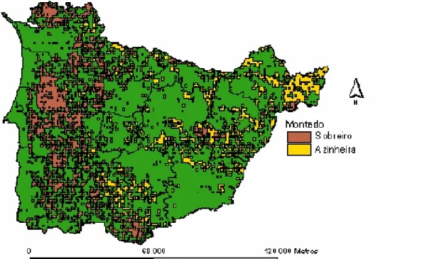 Fig. 1 – Distribuição espacial do sobreiro e da azinheira no Baixo Alentejo e Alentejo Litoral  (concelhos a verde) 