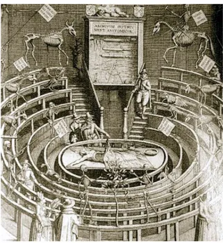 FIGURA  3:  Gravura  anônima,  Teatro  de  Anatomia.  Universidade  de    Leide,1665.  Biblioteca  Nacional  ,  Paris