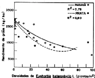 FIGURA I . Efeito de 115 dias de competição de Euphorbia heterophyllo L. sobre o rendimento de grãos dos cultivares de soja de ciclo precoce (Paraná e Prato ), EEA /UFRGS , Guaíbo, RS, 1979/80