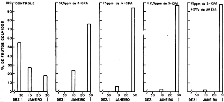 Figura 1. Efeitos do ácido 2-(3-clorofenoxi)promiônico (3-CPA) na época de maturação de abacaxi cayenne (médias de 5 repetições).