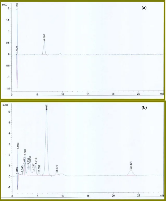 Figura  7   –  Cromatograma  (HPLC)  de  dois  azeites  ‘Galega  Vulgar’  produzidos  por  colheitas de índices de maturação 0,9 (a) e 5,5 (b)