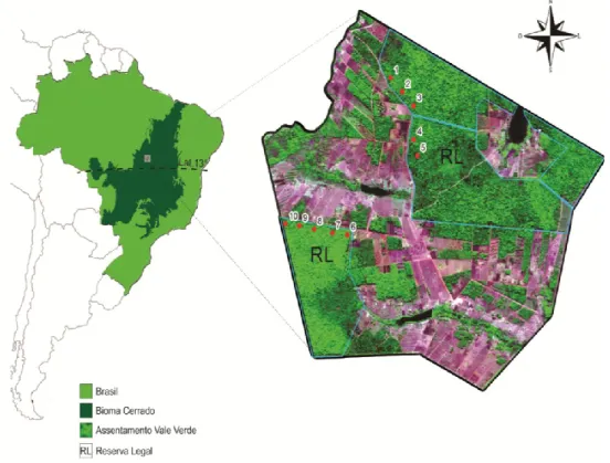 Figura 3. Área de estudo situada na abrangência da Amazônica Legal (paralelo 13º) bioma Cerrado,  Assentamento Rural Vale Verde, município de Gurupi, Estado do Tocantins, Brasil
