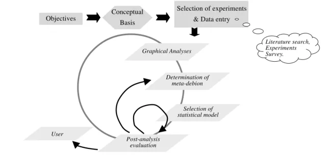 Figure 1 - Schematic representation of the meta-analytic process.