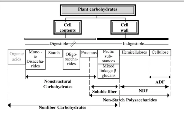 Figure 1 - Carbohydrates in plants. Digestible or Indigestible refer to potential for digestion by enzymes in the small intestine; all carbohydrates shown are potentially fermentable