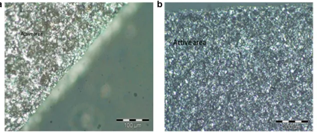 Fig. 3. Images in optical microscope (optical microscope platinum inverted Olympus PMG3) that shows the distribution of the PMMA/Bonelike Ò in the piezoelectric membrane.