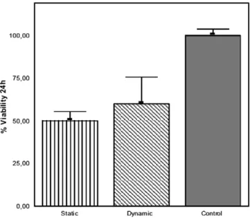 Fig. 9. Cell viability 24 after seeding and daily stimulation of the dynamic group, results are expressed in percent related to controls (standard cell culture dish, TPP).