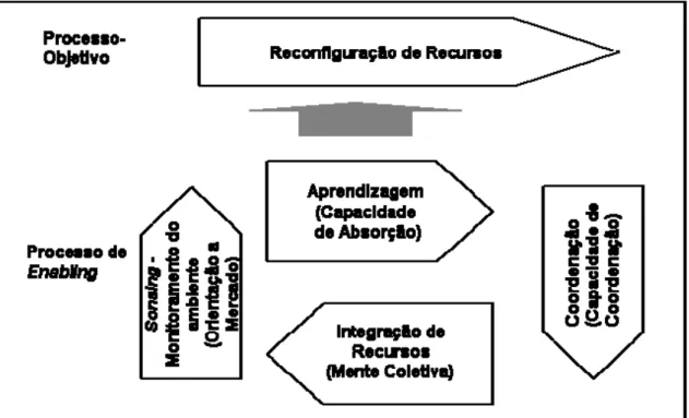 Figura 3: Um Modelo de ilustração dos processos viabilizadores das DC e construtos relacionados   Fonte: Pavlou e Sawy (2005)