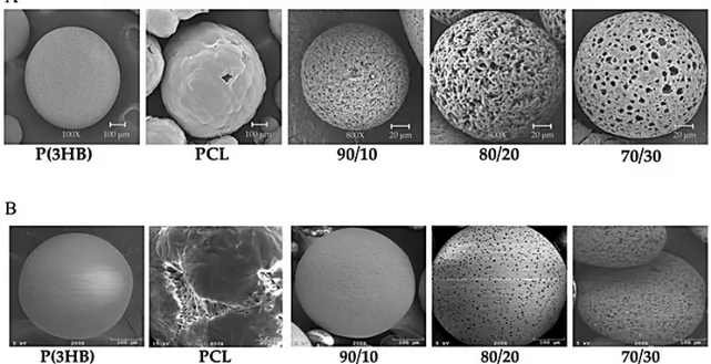 Figura 1. Micrografias de microscopia eletrônica de varredura das micropartículas de P(3HB); PCL; 90/10; 80/20; 70/30; (A) sem  pesticida e; (B) com pesticida.