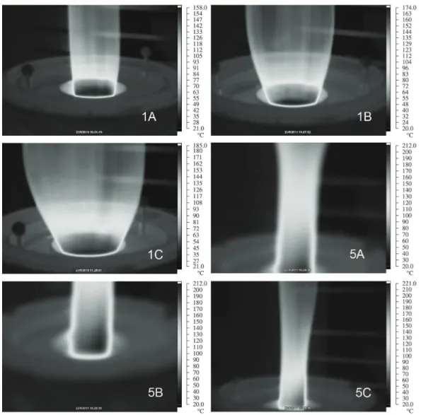 Figura 7. Imagens dos filmes tubulares com registro das temperaturas após a saída da matriz.