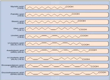 Figure 1 shows a comparison of selected  saturated, monounsaturated, and polyunsaturated fatty  acids all of which have the requisite methylene  interrupted sequence