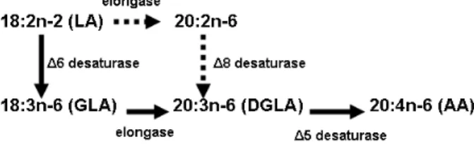 Figure 2 - Comparison of methylene interrupted fatty acid  sequence (essential) and conjugated sequence  (non-essential but potentially functional, e.g CLA, conjugated  linoleic acid)