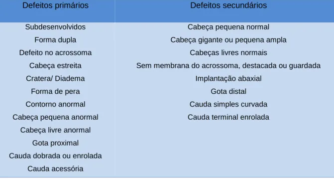 Tabela 2- Defeitos espermáticos conforme categorizados pela Society for Theriogenology (adaptado  de Hopper &amp; King, 2015)