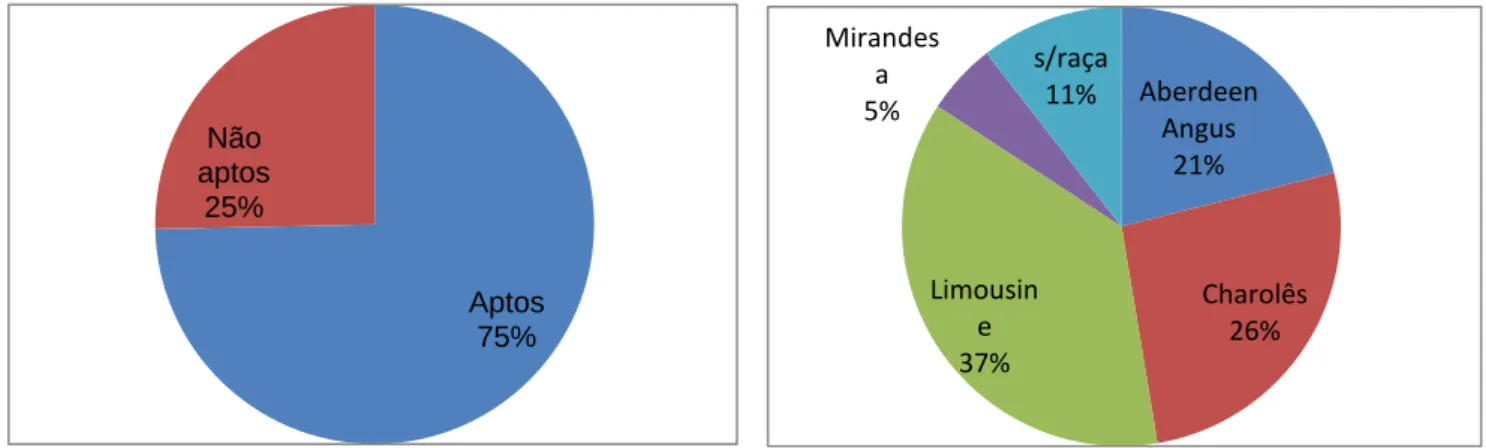 Gráfico 2- Percentagem de animais aptos e não aptos  Gráfico 3- Percentagem de animais não aptos por  raça 