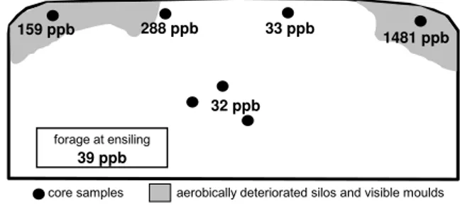 Figure 1. Example of a summer silo with top-side aerobically  deteriorated zones and zearalenone contamination
