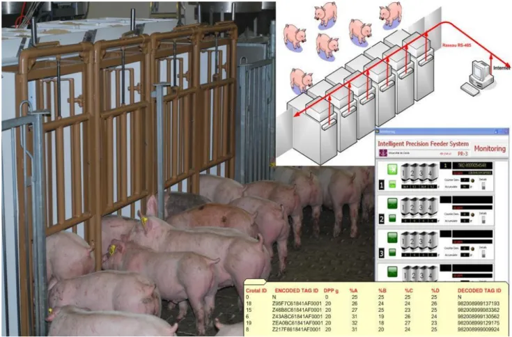 Figure 9 - The effect of lysine concentration on the average body weight gain of pigs fed dietary lysine concentrations ranging from 60 to 110% of the estimated requirements.