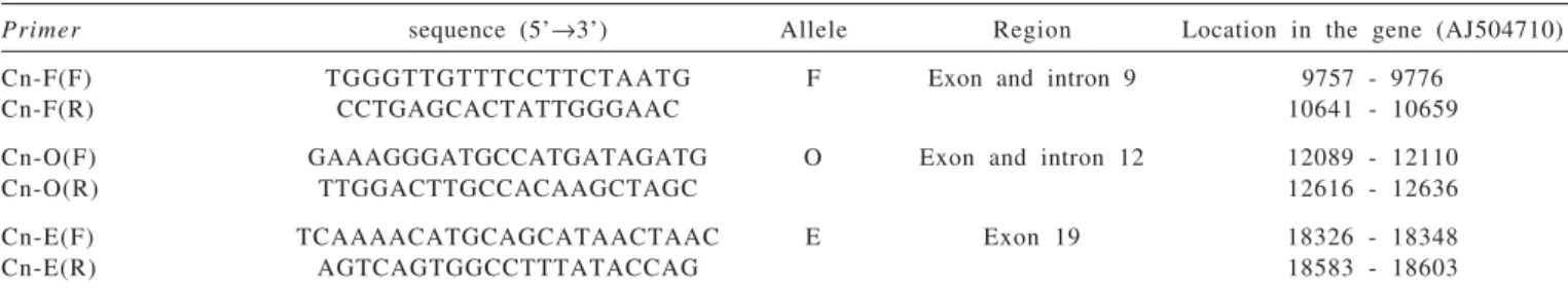 Figure 1 - Analysis of PCR products, on a 10% SDS- SDS-Polyacrylamide gel electrophoresis, amplified from genomic DNA of goats