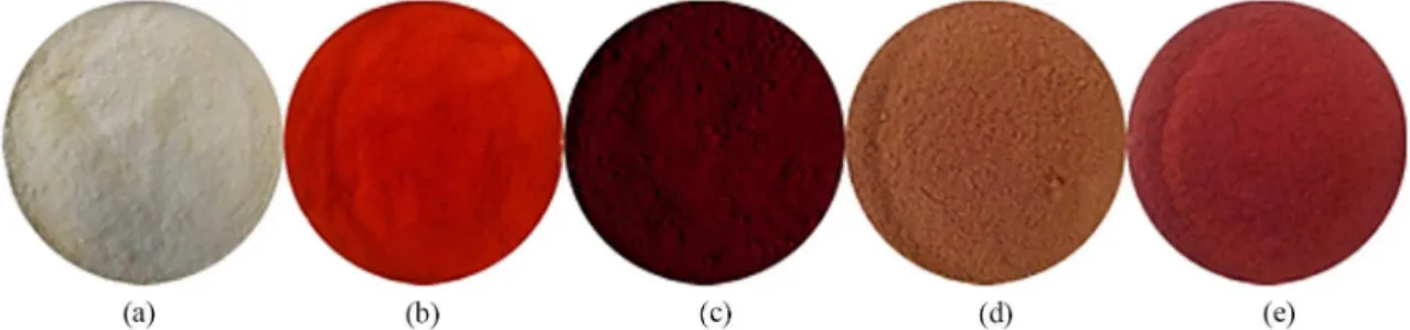 Figura 2. Imagem dos materiais de partida e dos materiais híbridos: Paligorsquita (a), Alaranjado de metila (b), Vermelho congo (c),  PGS/AM (d), PGS/VC (e).