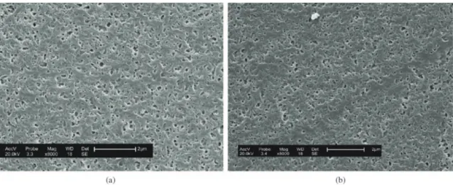 Figura 4. Fotomicrografias obtidas por MEV da superfície de topo da membrana de PA 6/OMMT-Dod (a) com maior teor de ácido e  (b) com menor teor de ácido.