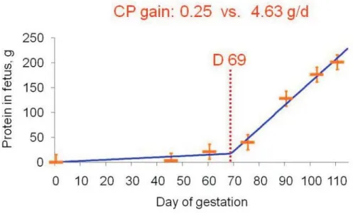 Figure 3 - Protein content in a fetus during gestation. Adapted from McPherson et al. (2004).