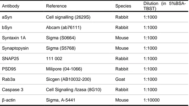 Table 2.3. Description of primary antibodies used for Western Blot. 
