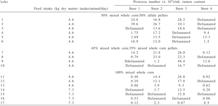 Table  1  - Weekly monitoring of rumen ciliate population in steers offered three different diets and two feed intake levels on mixed whole shelled corn diet 1