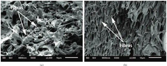 Figura 7. Micrografia dos compósitos contendo 30% em massa de fibra de coco na ausência (a) ou na presença (b) presença de anidrido  maleico, mostrando a superfície transversal dos mesmos
