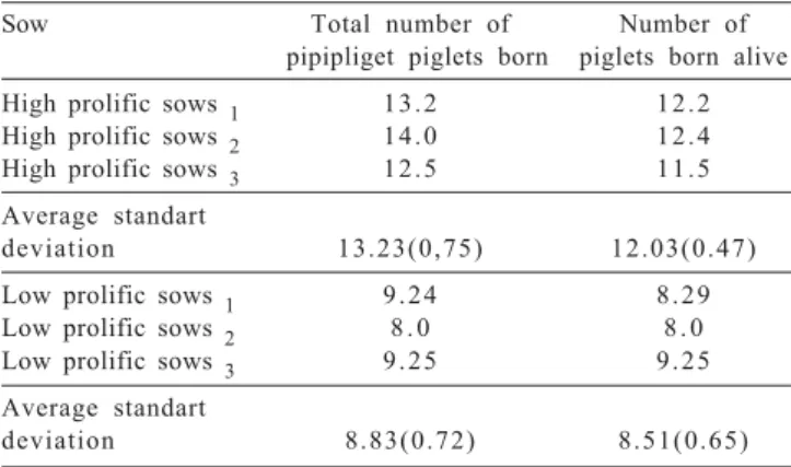 Table 2 - Mean phenotypic data obtained for the analyzed sows.