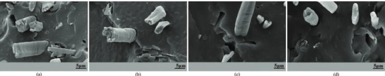 Figura 2. Micrografias por MEV dos compósitos com FCur: (a) sem tratamento e tratadas com solução de (b) 1% NaOH; (c) 5% NaOH  e (d) 10% NaOH, com magnitude de 2000x.
