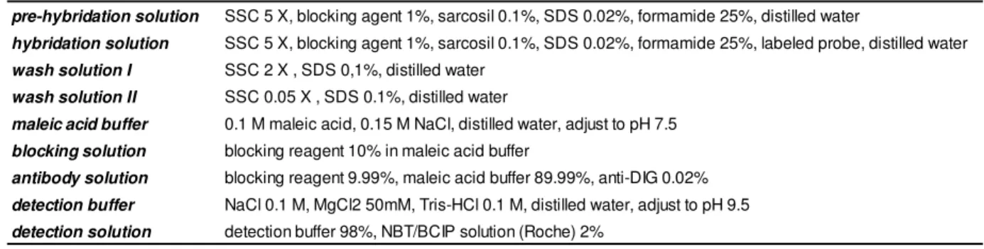Table VI. Compositions of all the solutions used in the dot-blot hybridization. 