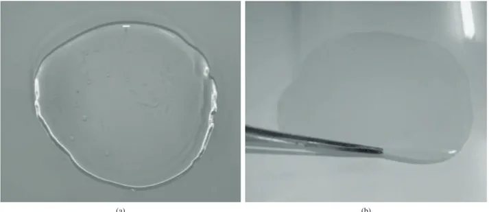 Figura 2. Imagens do (a) gel depositado e do filme formado (b) após a evaporação do solvente sobre superfície apolar (casting)