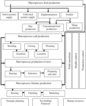 Figure 2 - Process hierarchy on Guatambu Farm.