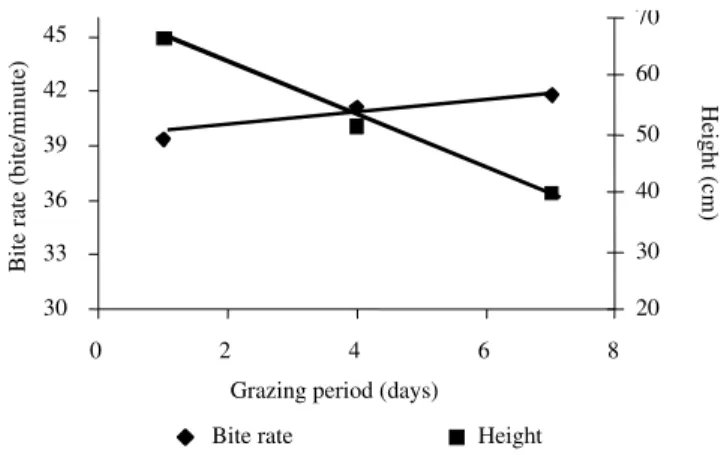 Figure 6 - Relationship between bite rate (bites/minute) and sward height during the grazing process of tanzania guineagrass swards subjcted to different rotational stocking intensities.