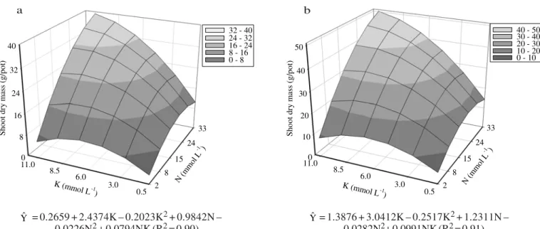 Figure 4 - Shoot dry mass production of marandu palisadegrass in first (a) and second (b) harvests as related to combinations of nitrogen and potassium rates.