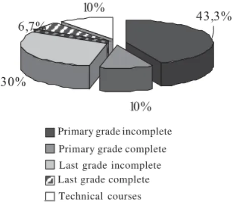 Figure 6 - Level of schooling of inseminators working in beef cattle raising in Central Brazil (n=30).