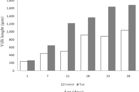 Figure 1 - Morphometry of the villi of the ileum at the different ages, in treated with probiotics and control chickens.