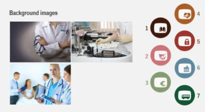 Fig. 3. Slide show of Health Services ASGIE presented 
