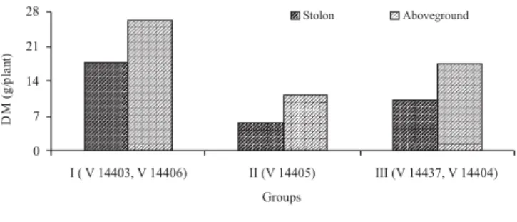 Figure 8 - Average dry matter production of aboveground and stolon of the groups formed by UPGMA method, based on Mahalanobis distance among accessions of giant missionary grass.