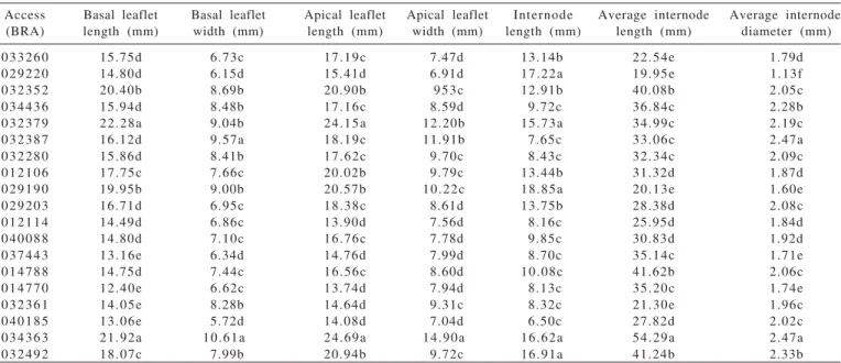 Table 3 - Means of 19 accessions of Arachis repens evaluated for morphological traits