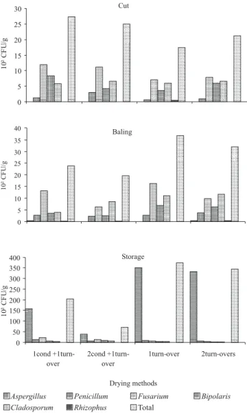 Figure 3 - Occurrence of fungus in Tifton 85 hay produced under different methods of dehydration at the time of cutting, baling and 30 days after storage (original data).