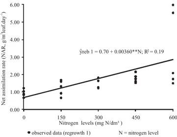 Figure 1 - Net assimilation rate (NAR) with increasing nitrogen levels in Panicum maximum × Panicum infestum cv.