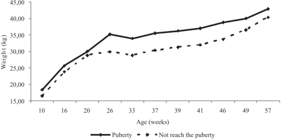 Figure 2 - Average age and weight of crossbred ewe lambs during the experimental period from October 2006 to August 2007.