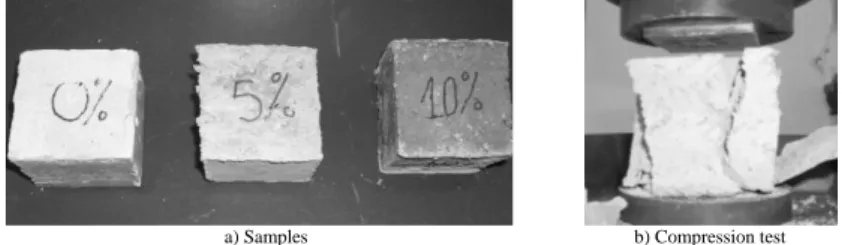 Fig. 2. Samples and compression test. 