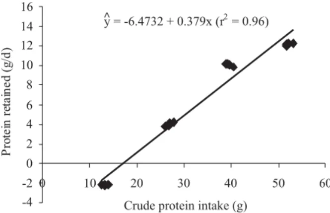 Figure 3 - Crude protein retained depending on the protein intake of Japanese quails from 67 to 107 days old.
