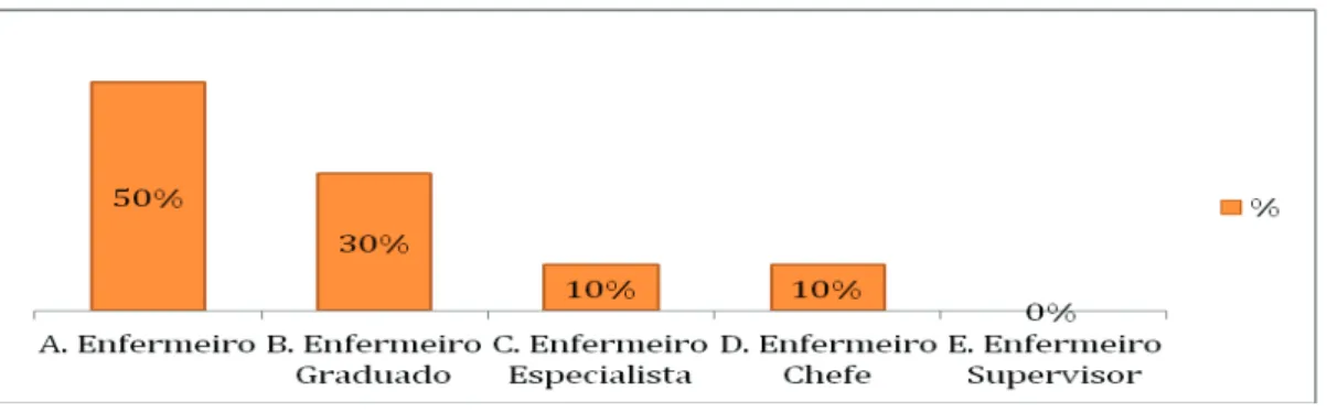 Gráfico nº 4 – Caracterização dos Participantes relativamente à Categoria Profissional 