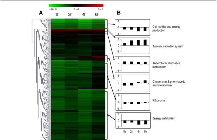 Figure 4 Gene expression profile of B. pseudomallei during infection of U937 cells. (A) The cluster diagrams show the expression profile of intracellular B