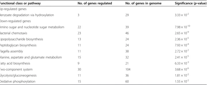 Figure 7 Real-time quantitative PCR validation of microarray data. Relative expression ratio by real-time qPCR (grey bars) or by microarray experiments (white bars) at 6 h post-infection